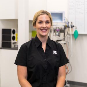 Our Team North Coast Veterinary Specialist