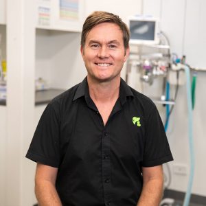 Our Team North Coast Veterinary Specialist