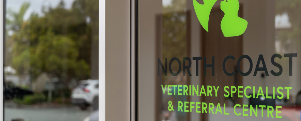 Careers North Coast Veterinary Specialist